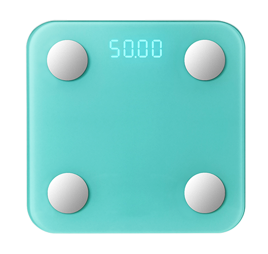 Bluetooth Smart Body Composition Handlebar Scale: SIFSCALE-1.0 - SIFSOF